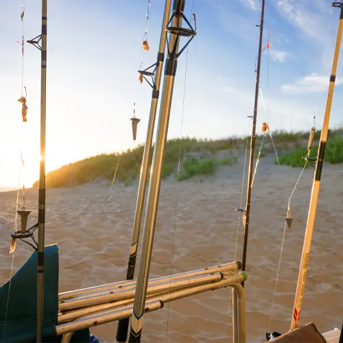 Fishing rods set up on the beach at dawn, silhouetted against the rising sun