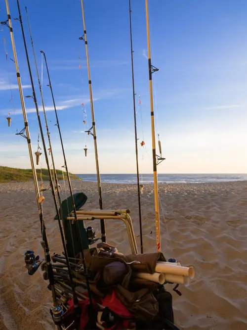 A row of fishing rods set up on the beach at sunrise, with the motel visible in the distance